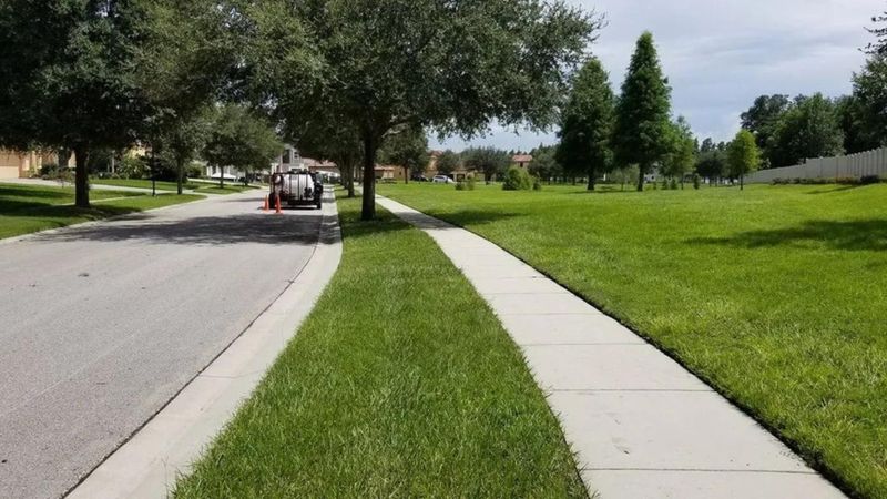 HOA Common Areas Pressure Washing