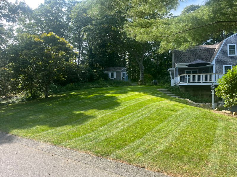 Mowing gallery