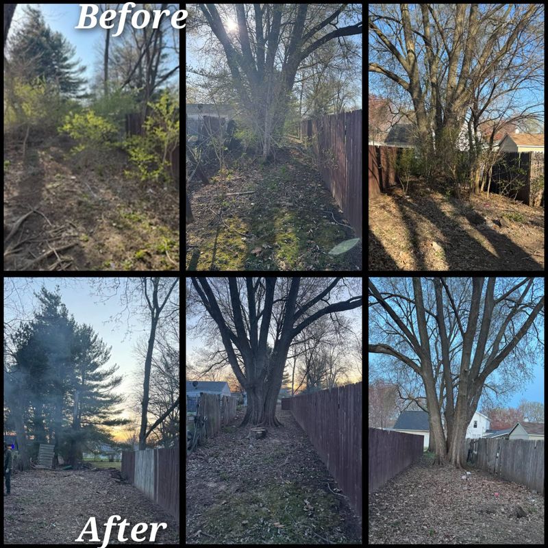 Fall and Spring Clean Up