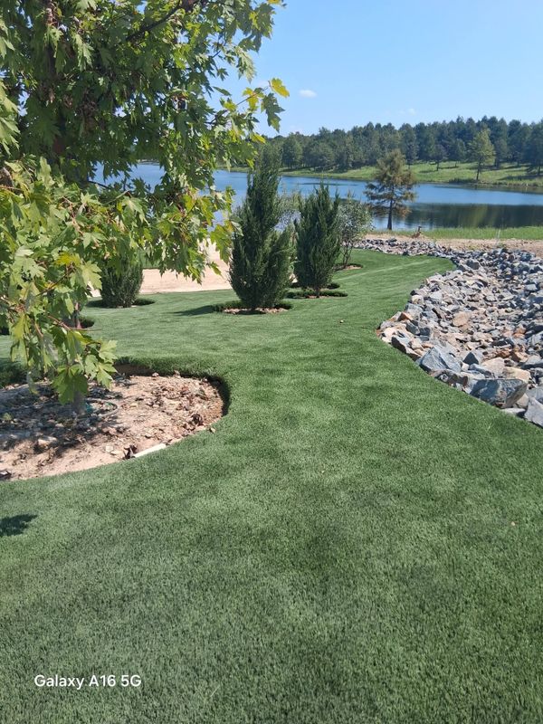 Pet Turf