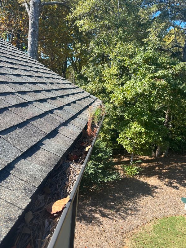 Gutter Cleaning