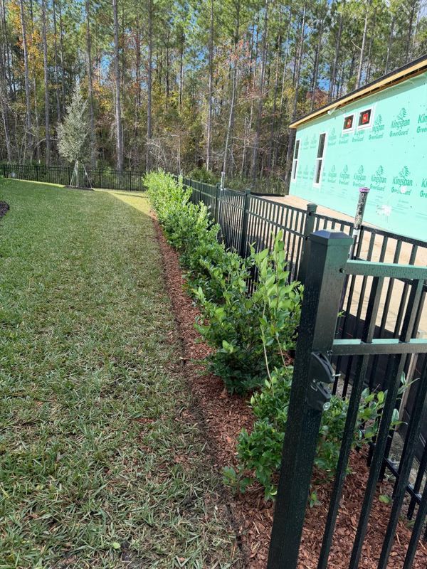 Shrub Trimming