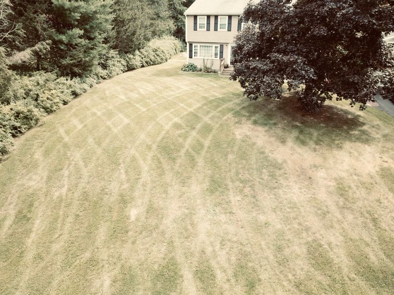 Lawn Maintenance