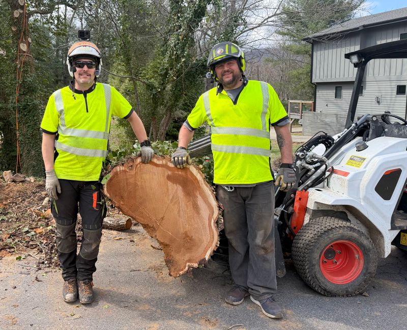 Tree Removal