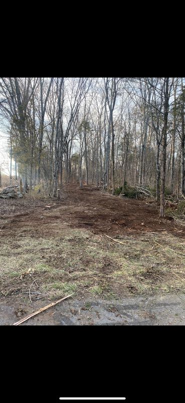 Land Clearing & Bushogging