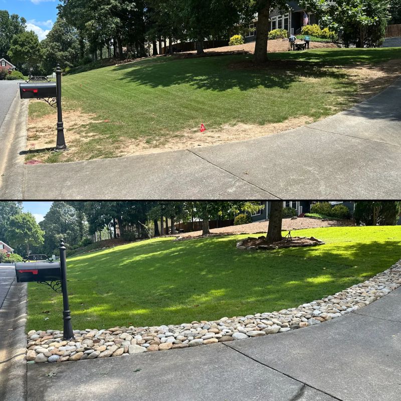 Landscape Design and Installation