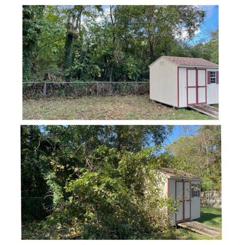 Tree & Shrub Care