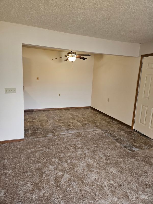 Carpet Cleaning