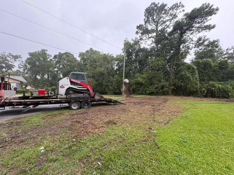 Forestry Mulching