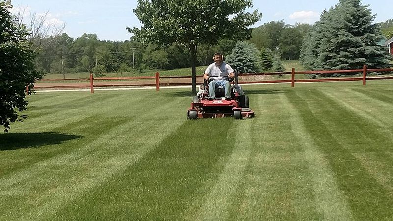 Lawn Mowing