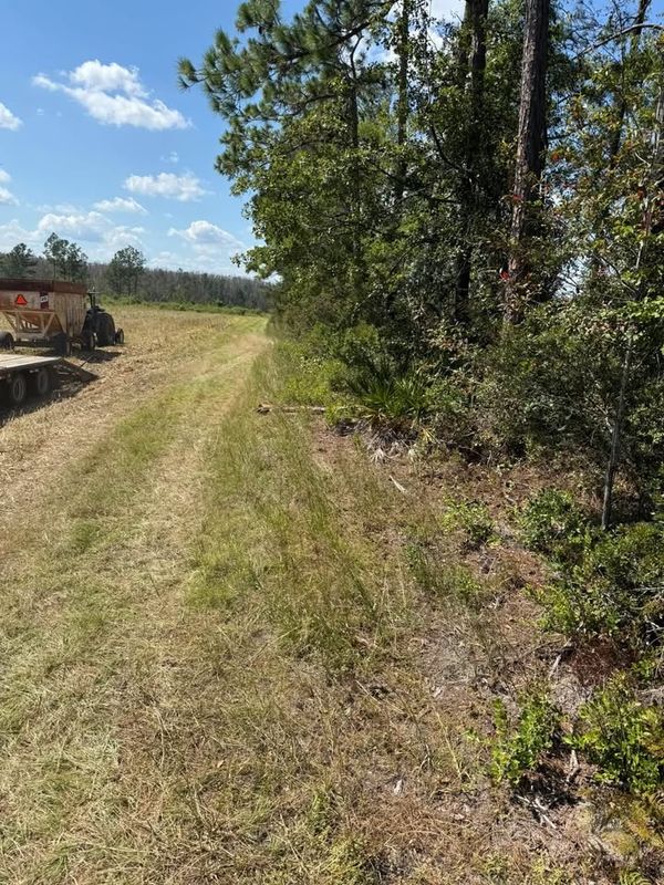 Land Clearing