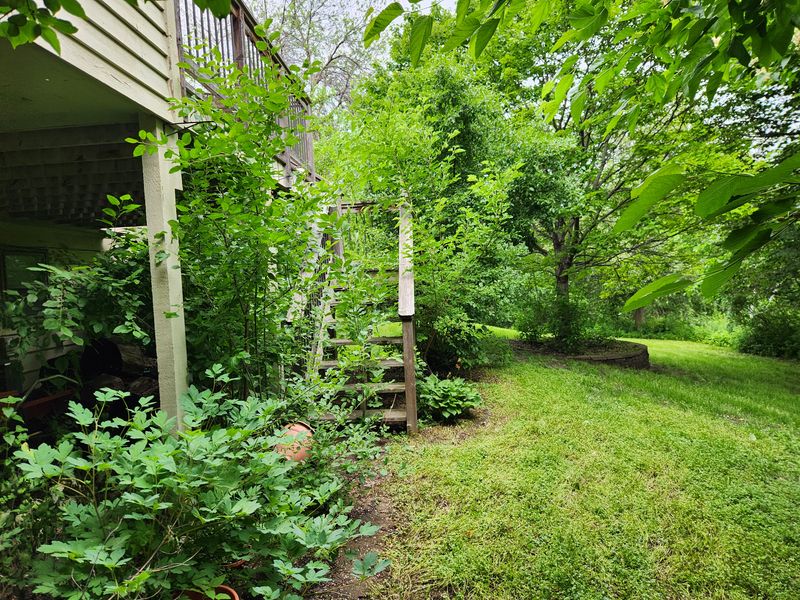 Yard clean up 