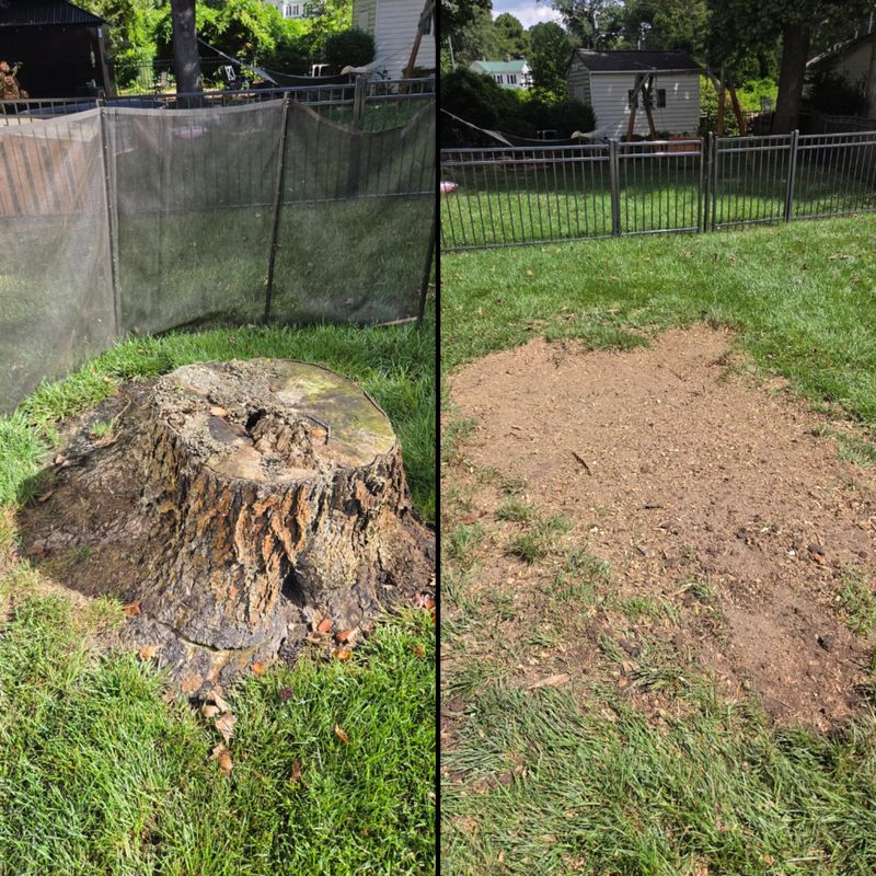 Stump Grinding