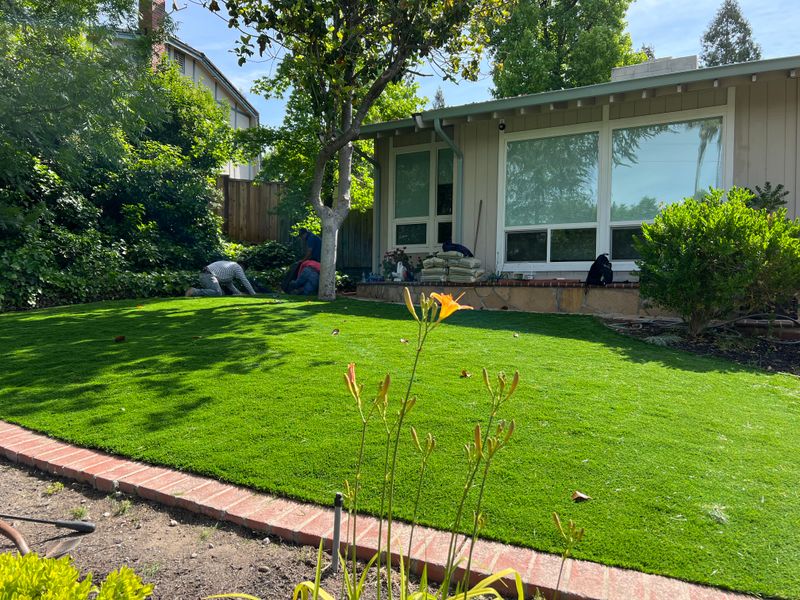 Garden Design