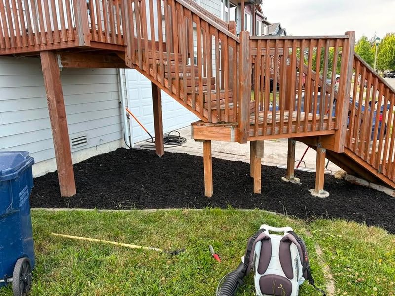 Sod Installation