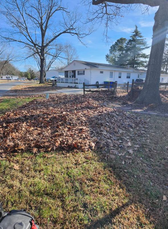 Landscaping & Hardscaping