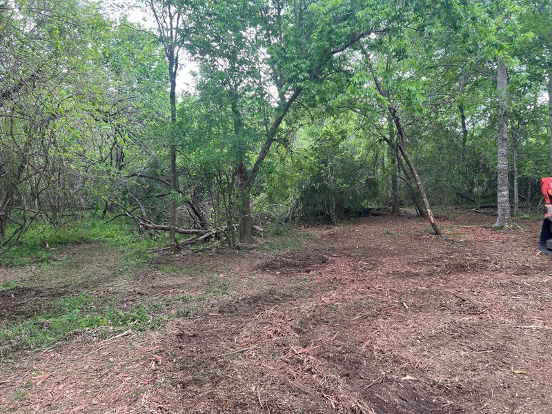 Land Clearing