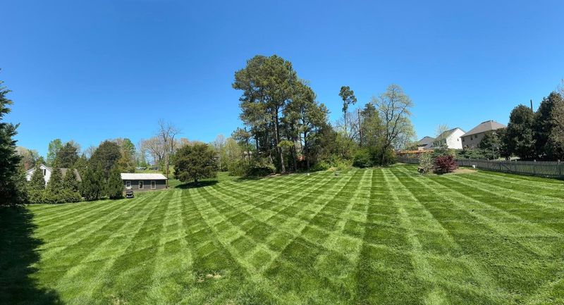 Lawn Care