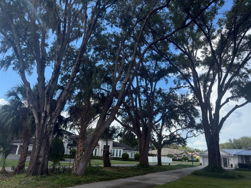 Tree Pruning