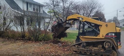 Downed Tree/Brush Removal