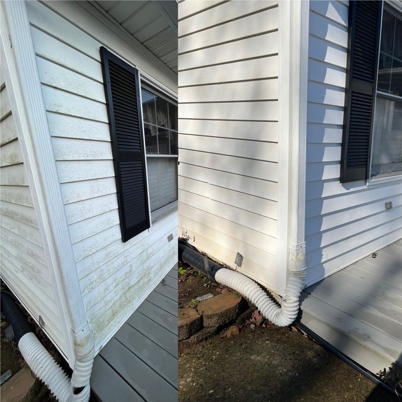 Pressure Washing 