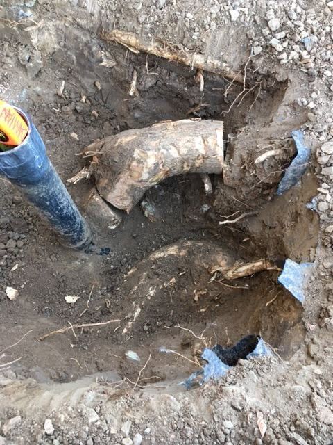Pipe Repair and Replacement