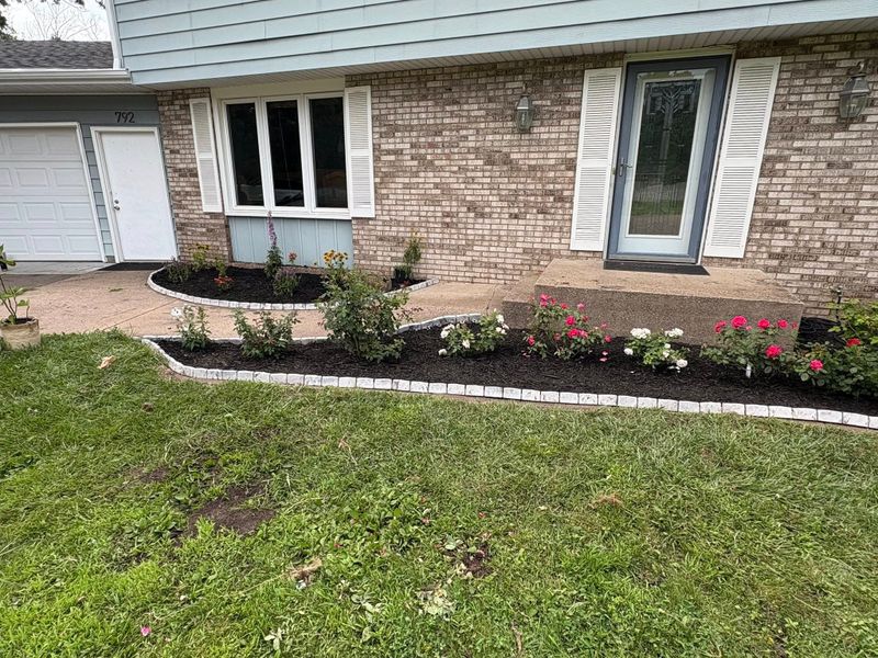 Lawn Maintenance