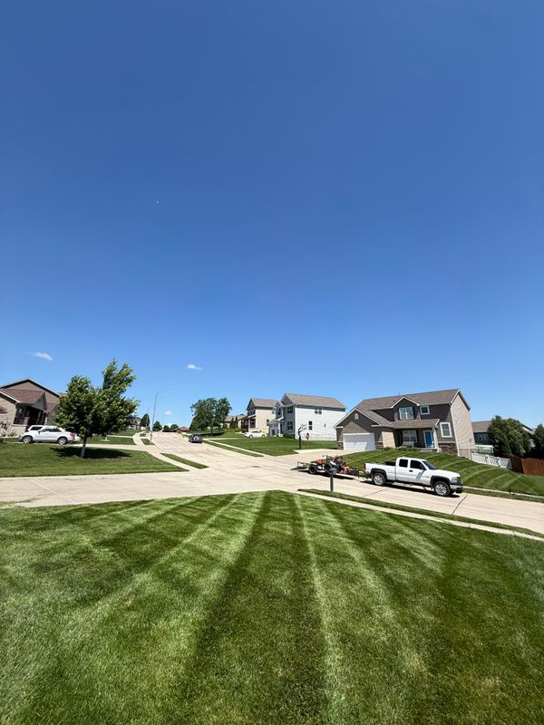 Lawn Maintenance