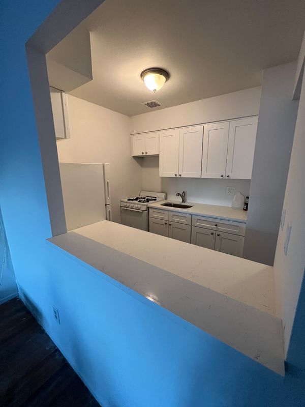 Kitchen Renovation