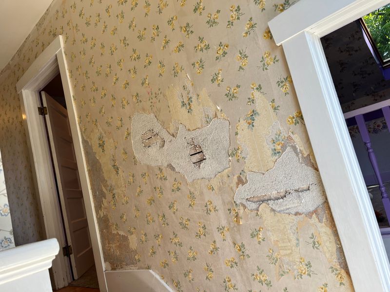 Wallpaper removal 