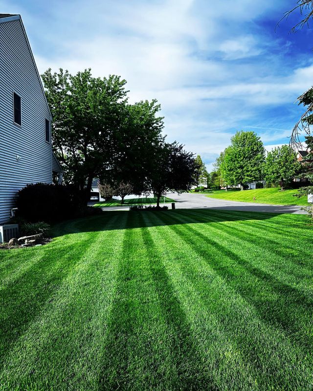 Landscaping