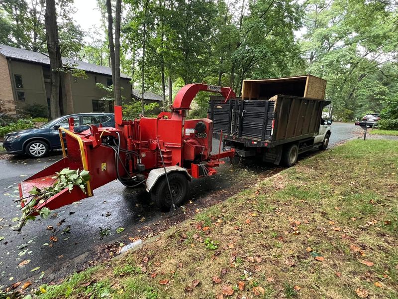 Tree Trimming and Removal