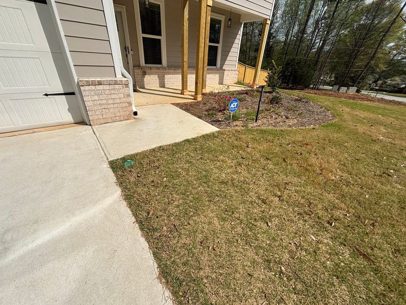 Sod  Installing