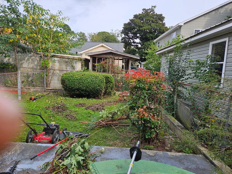 Mulch Flower Bed Maintenance