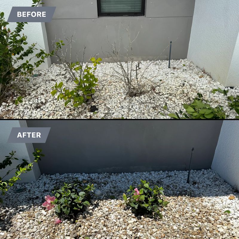 Mulch and rocks installation