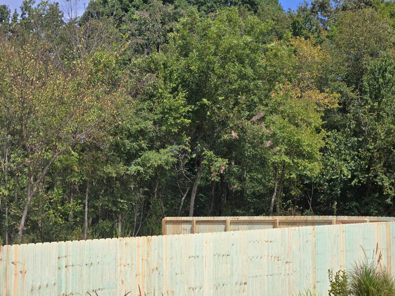 Cedar Privacy Fence Installation