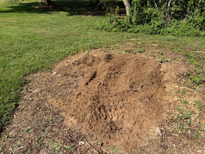 Stump Removal