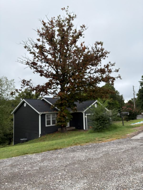 Elevate Your Curb Appeal: Expert Tree Removal by Dale's Tree Service in Rogers, AR