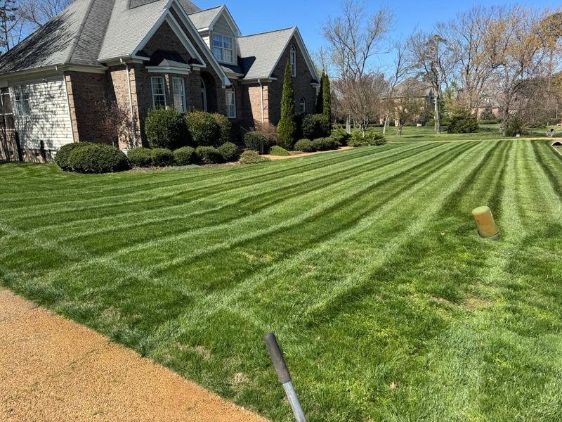 Lawn Mowing
