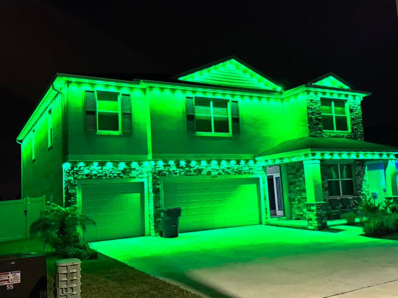 Holiday & Seasonal Lighting
