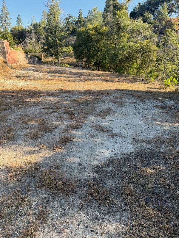 Site Preparation