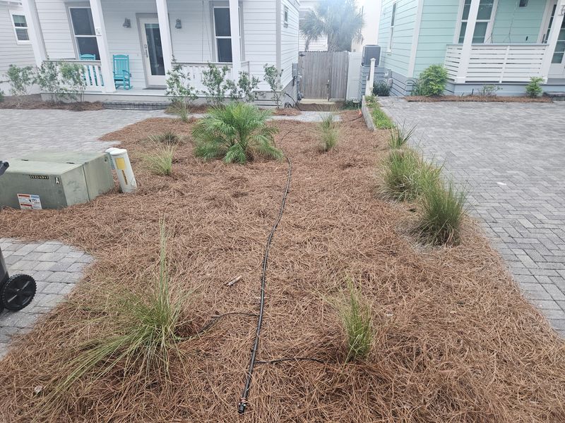 Some of our work