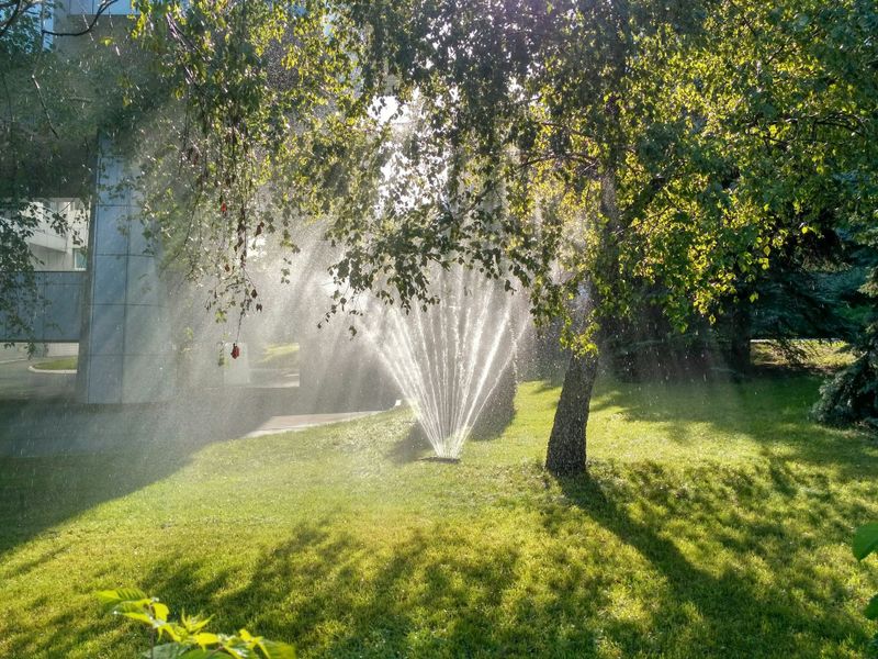 Lawn Maintenance