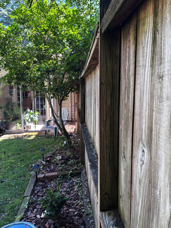 Privacy Fence