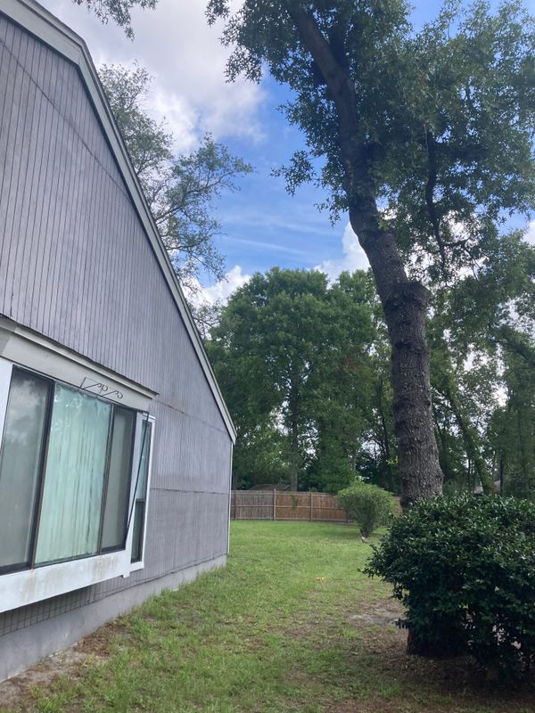 Tree Removal gallery