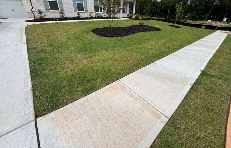 Tree & Shrub Care