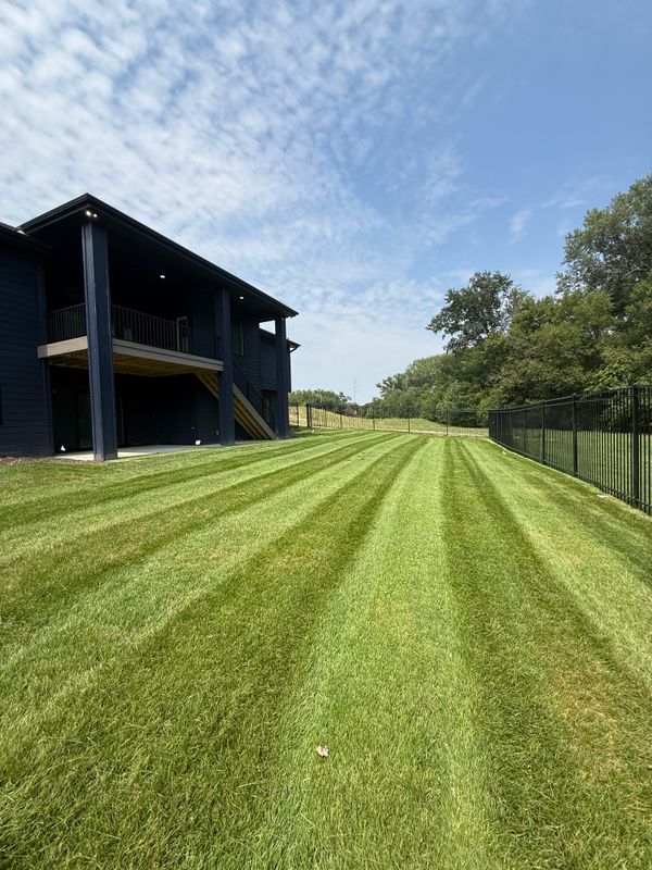 Lawn Maintenance
