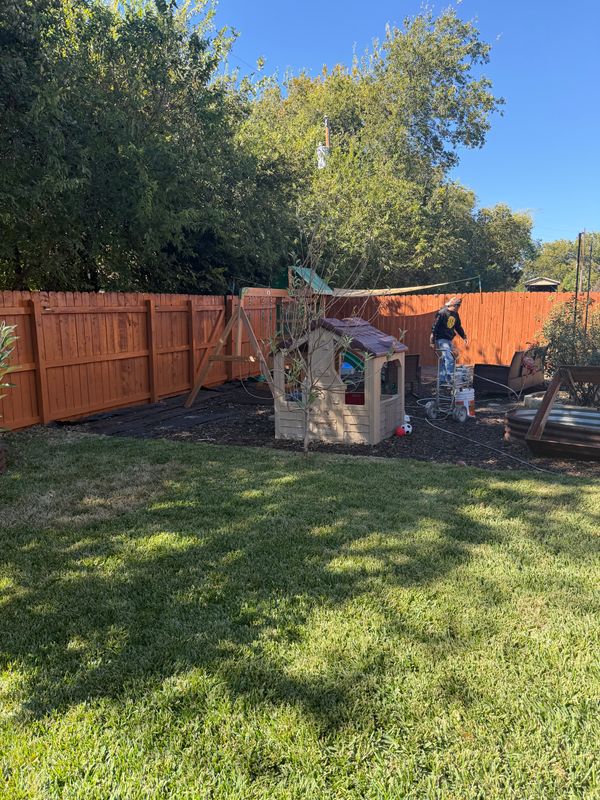 Fencing Repair & Installation