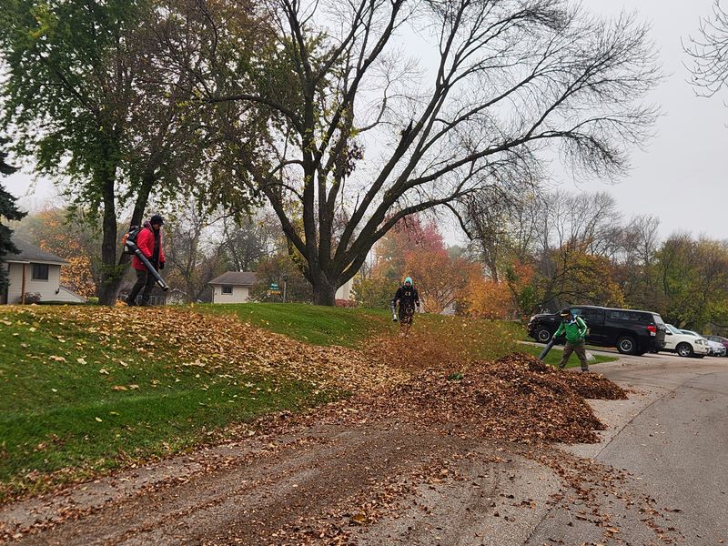 Shrub Trimming