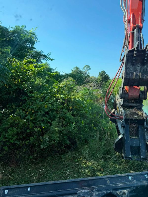 Land Clearing